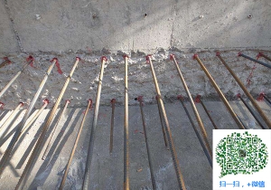 南皮植筋锚固